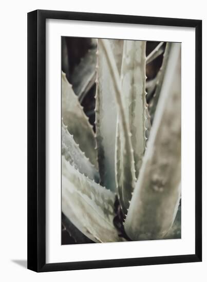 Aloe_001-Pictufy Studio III-Framed Giclee Print