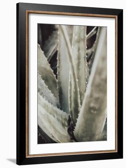 Aloe_001-Pictufy Studio III-Framed Giclee Print