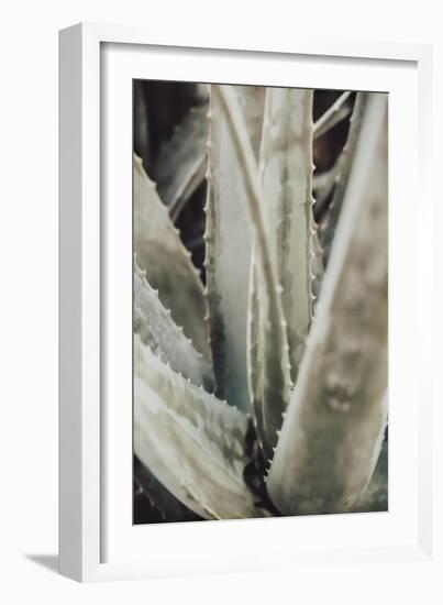 Aloe_001-Pictufy Studio III-Framed Giclee Print