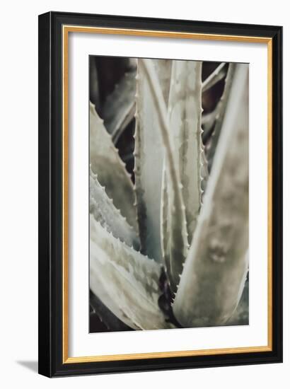 Aloe_001-Pictufy Studio III-Framed Giclee Print