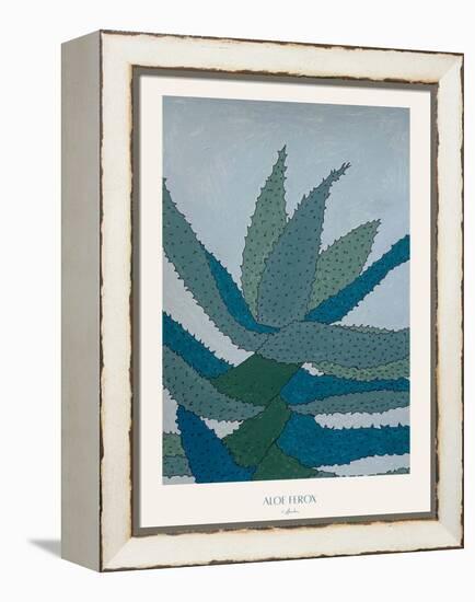 Aloe Ferox-Annika John-Framed Premier Image Canvas