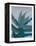 Aloe Ferox-Annika John-Framed Premier Image Canvas