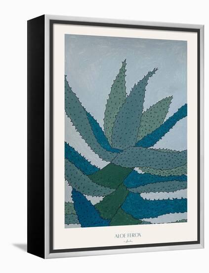 Aloe Ferox-Annika John-Framed Premier Image Canvas