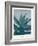 Aloe Ferox-Annika John-Framed Giclee Print