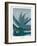 Aloe Ferox-Annika John-Framed Giclee Print