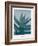 Aloe Ferox-Annika John-Framed Giclee Print