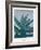 Aloe Ferox-Annika John-Framed Giclee Print