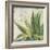 Aloe I-Patricia Pinto-Framed Art Print