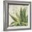 Aloe I-Patricia Pinto-Framed Art Print