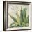 Aloe I-Patricia Pinto-Framed Art Print