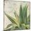 Aloe I-Patricia Pinto-Mounted Art Print