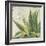 Aloe I-Patricia Pinto-Framed Art Print