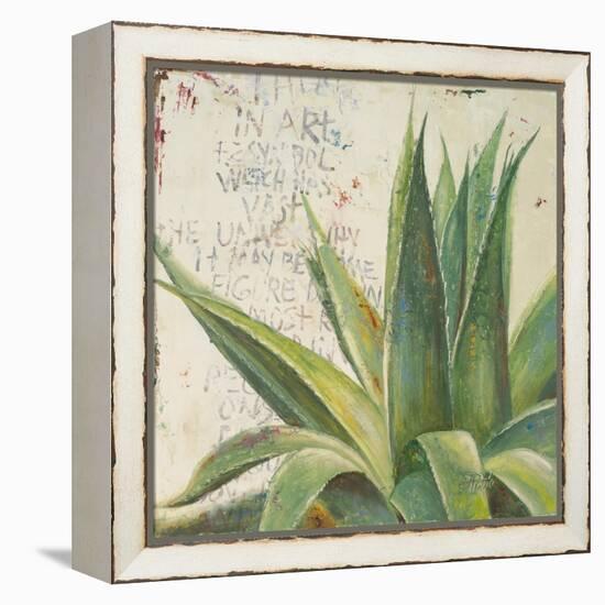 Aloe I-Patricia Pinto-Framed Stretched Canvas