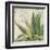 Aloe I-Patricia Pinto-Framed Art Print
