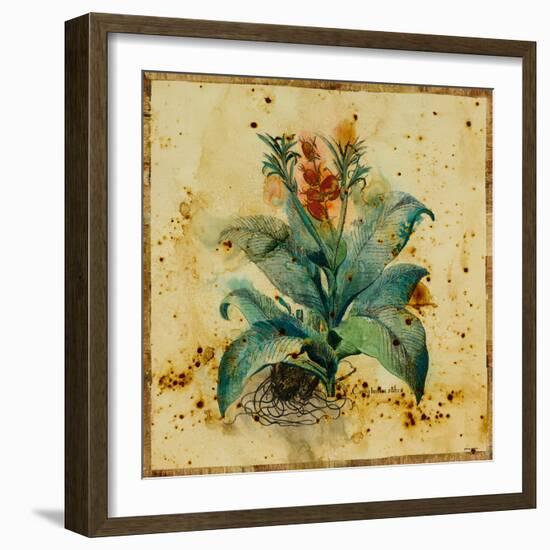 Aloe II-Hollack-Framed Giclee Print