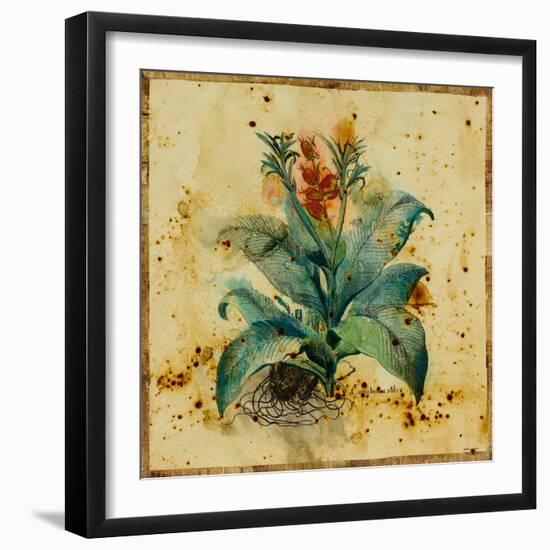 Aloe II-Hollack-Framed Giclee Print