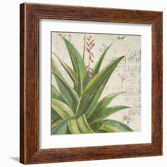 Aloe II-Patricia Pinto-Framed Art Print