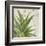 Aloe II-Patricia Pinto-Framed Art Print