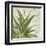 Aloe II-Patricia Pinto-Framed Art Print