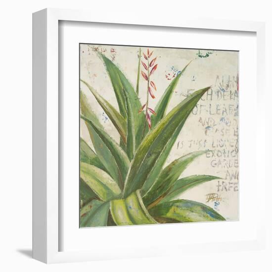 Aloe II-Patricia Pinto-Framed Art Print