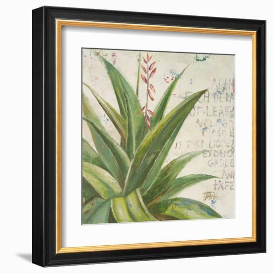 Aloe II-Patricia Pinto-Framed Art Print