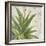 Aloe II-Patricia Pinto-Framed Art Print