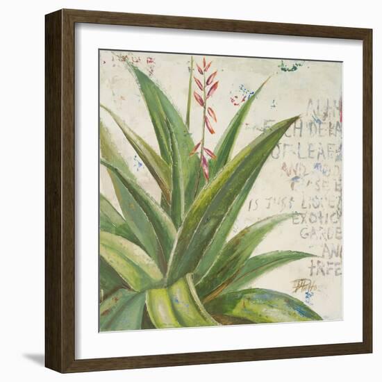 Aloe II-Patricia Pinto-Framed Art Print