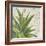 Aloe II-Patricia Pinto-Framed Art Print