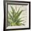 Aloe II-Patricia Pinto-Framed Art Print