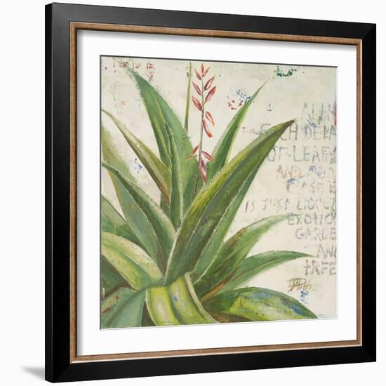 Aloe II-Patricia Pinto-Framed Art Print