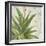 Aloe II-Patricia Pinto-Framed Art Print