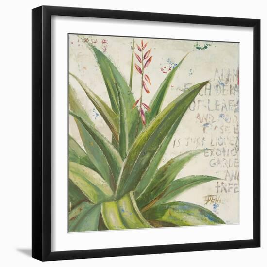 Aloe II-Patricia Pinto-Framed Art Print