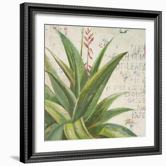 Aloe II-Patricia Pinto-Framed Art Print