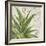 Aloe II-Patricia Pinto-Framed Art Print