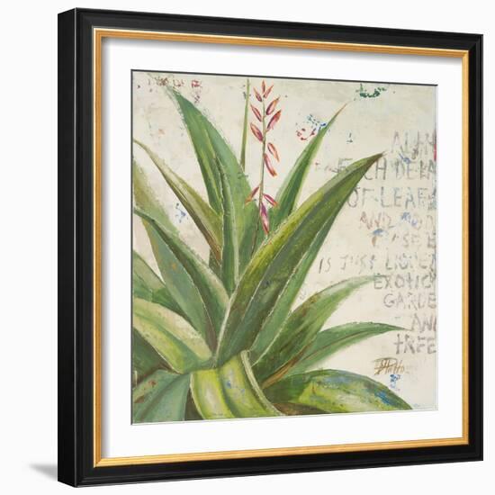 Aloe II-Patricia Pinto-Framed Art Print