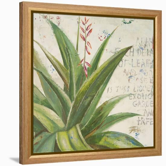 Aloe II-Patricia Pinto-Framed Stretched Canvas