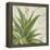 Aloe II-Patricia Pinto-Framed Stretched Canvas