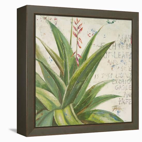 Aloe II-Patricia Pinto-Framed Stretched Canvas