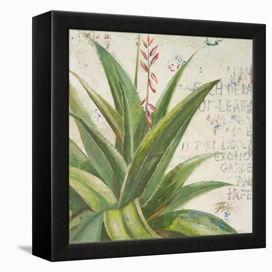 Aloe II-Patricia Pinto-Framed Stretched Canvas