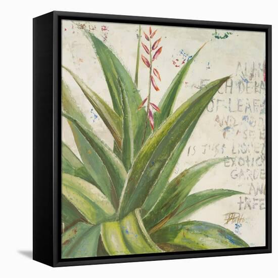 Aloe II-Patricia Pinto-Framed Stretched Canvas