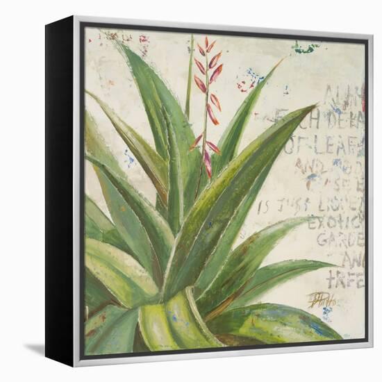 Aloe II-Patricia Pinto-Framed Stretched Canvas