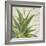 Aloe II-Patricia Pinto-Framed Premium Giclee Print