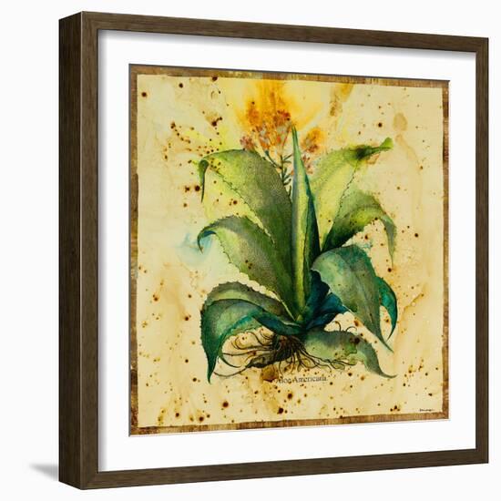 Aloe IV-Hollack-Framed Giclee Print