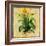 Aloe IV-Hollack-Framed Giclee Print