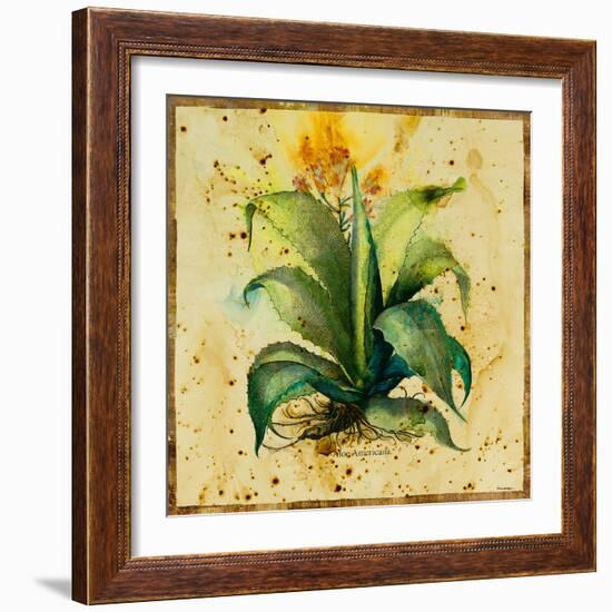 Aloe IV-Hollack-Framed Giclee Print