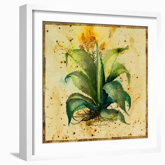 Aloe IV-Hollack-Framed Giclee Print