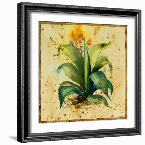 Aloe IV-Hollack-Framed Giclee Print