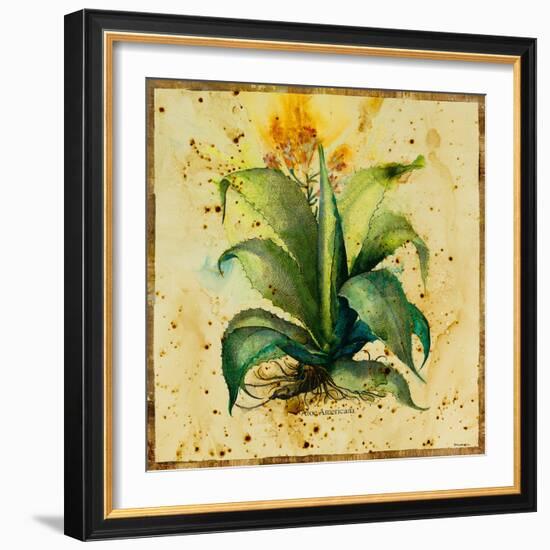 Aloe IV-Hollack-Framed Giclee Print