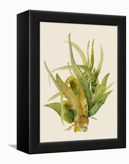 Aloe Vera I-Maya Woods-Framed Stretched Canvas