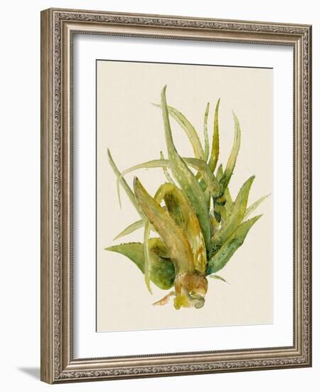 Aloe Vera I-Maya Woods-Framed Art Print